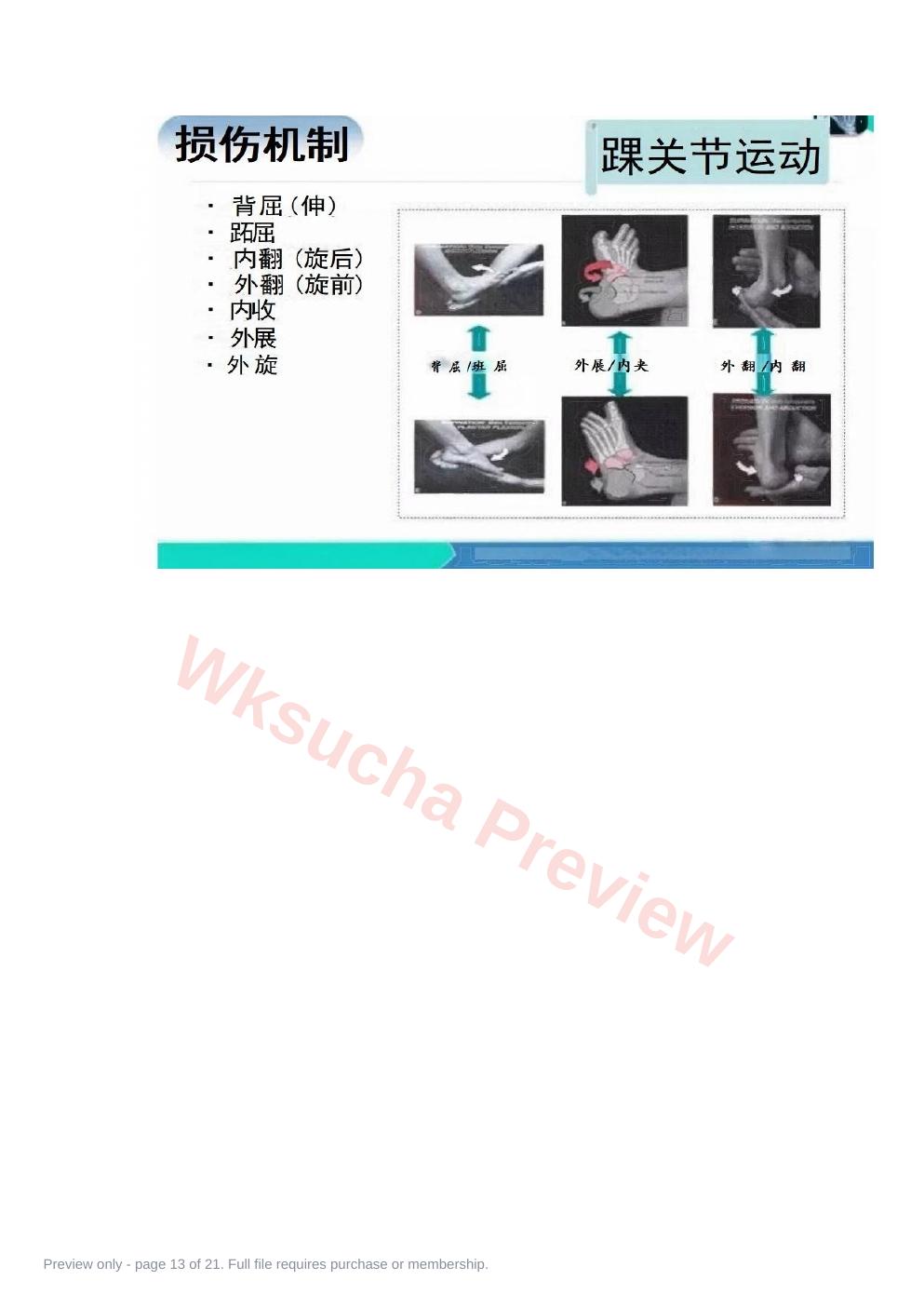 预览第 13 页