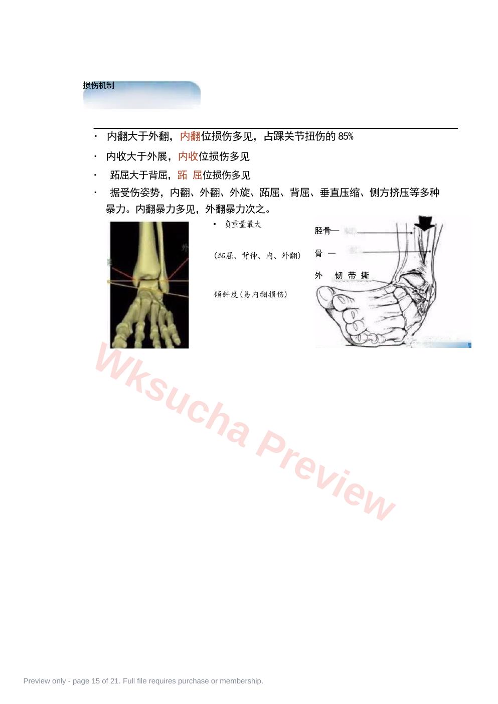 预览第 15 页