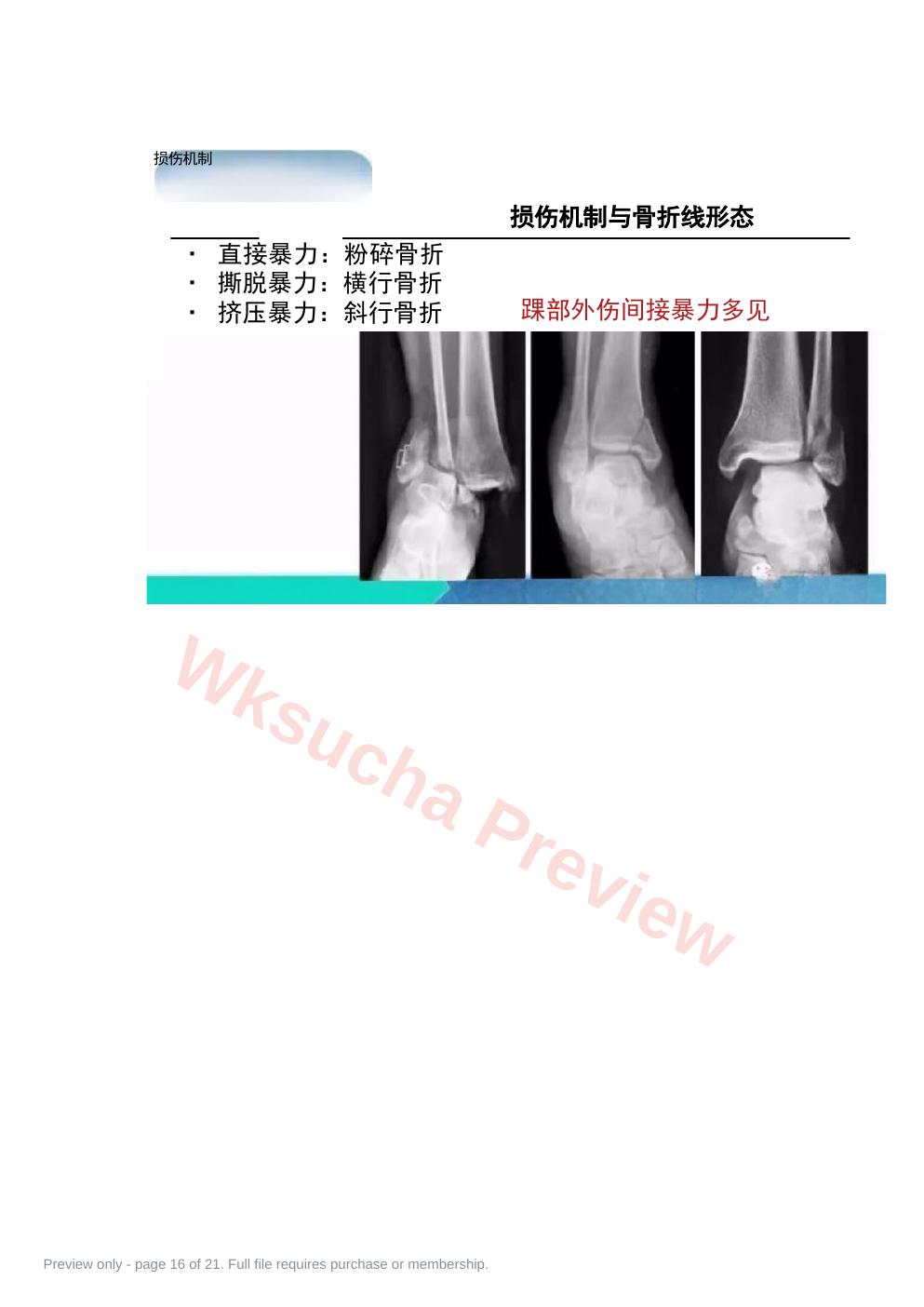 预览第 16 页