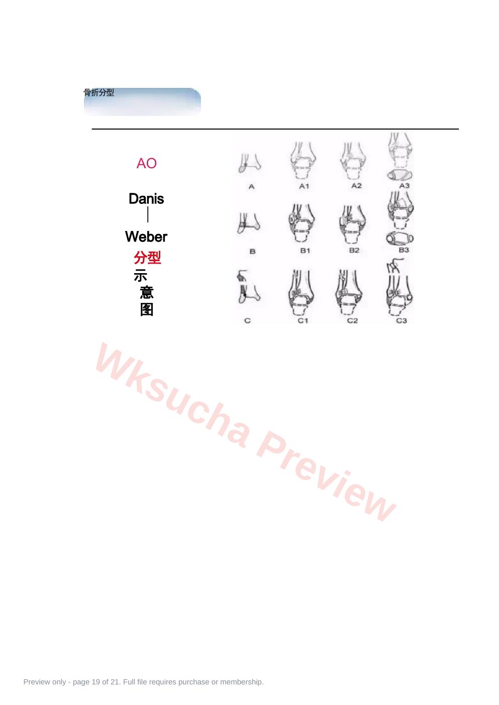 预览第 19 页