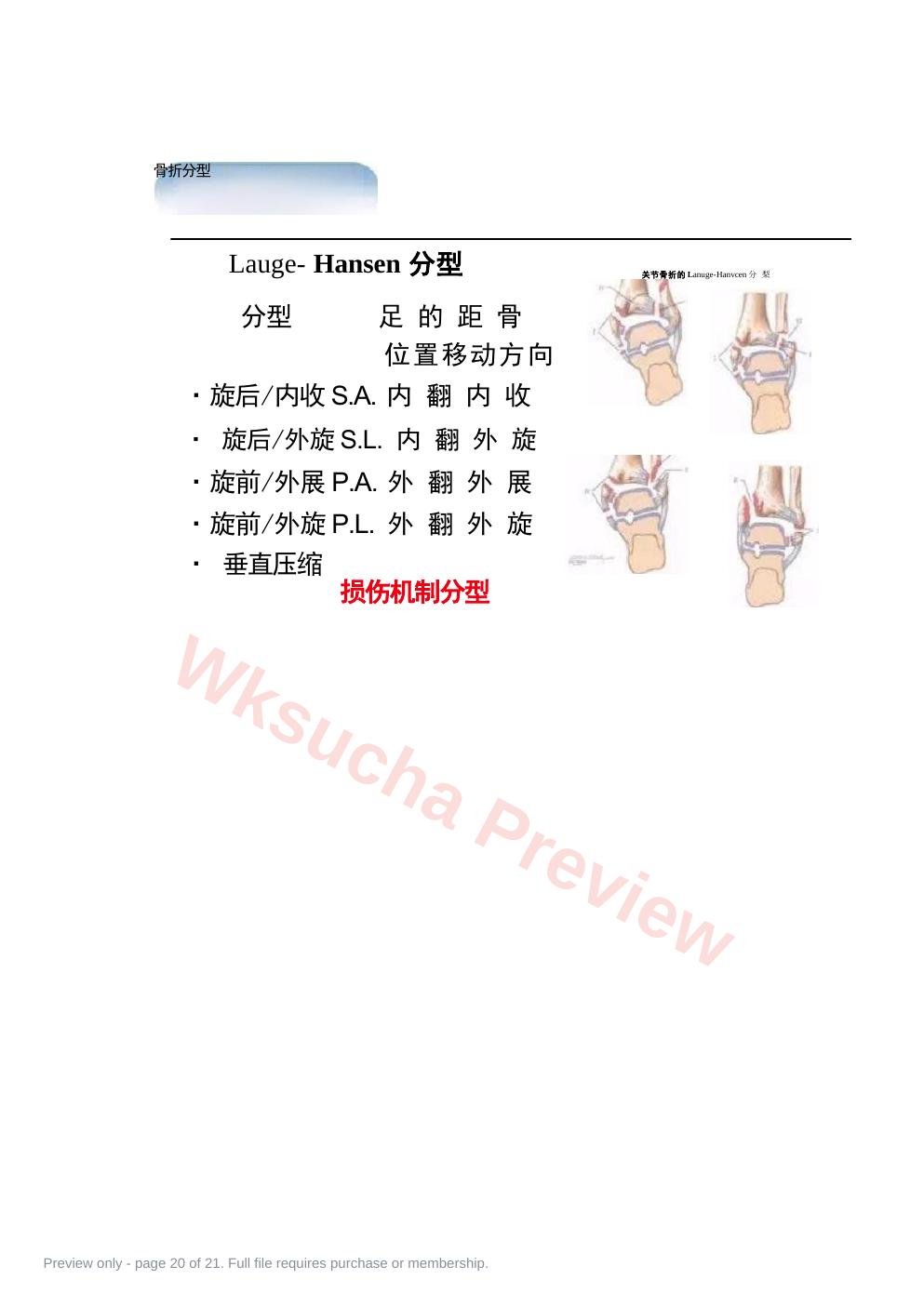 预览第 20 页