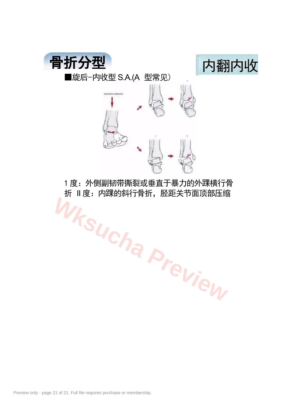预览第 21 页