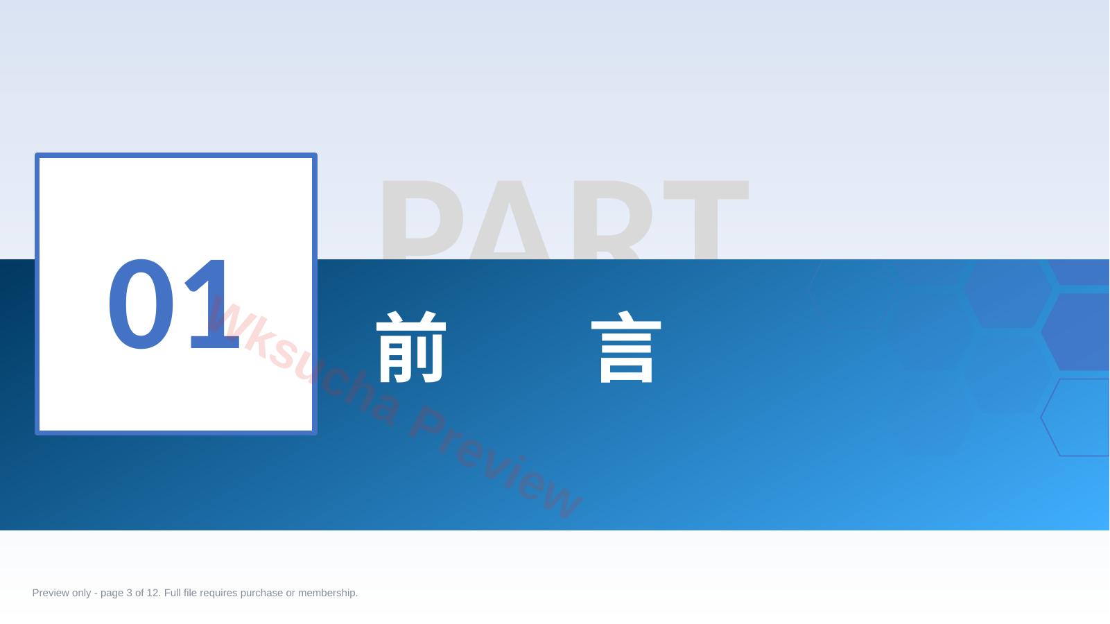 预览第 3 页