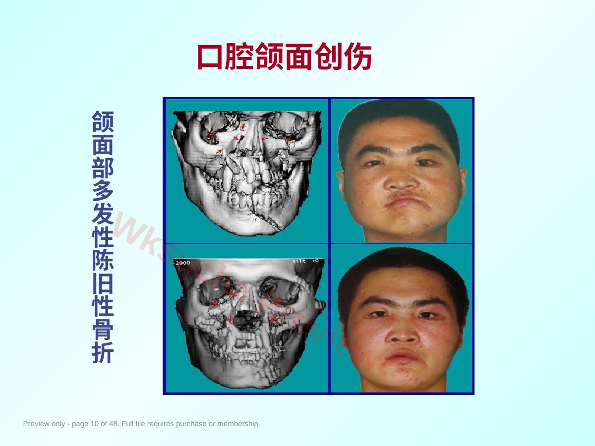 预览第 10 页