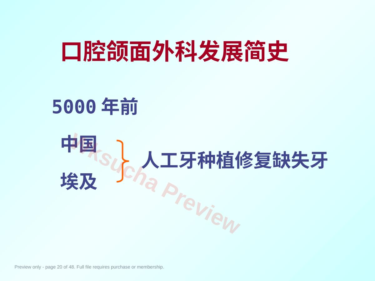 预览第 20 页