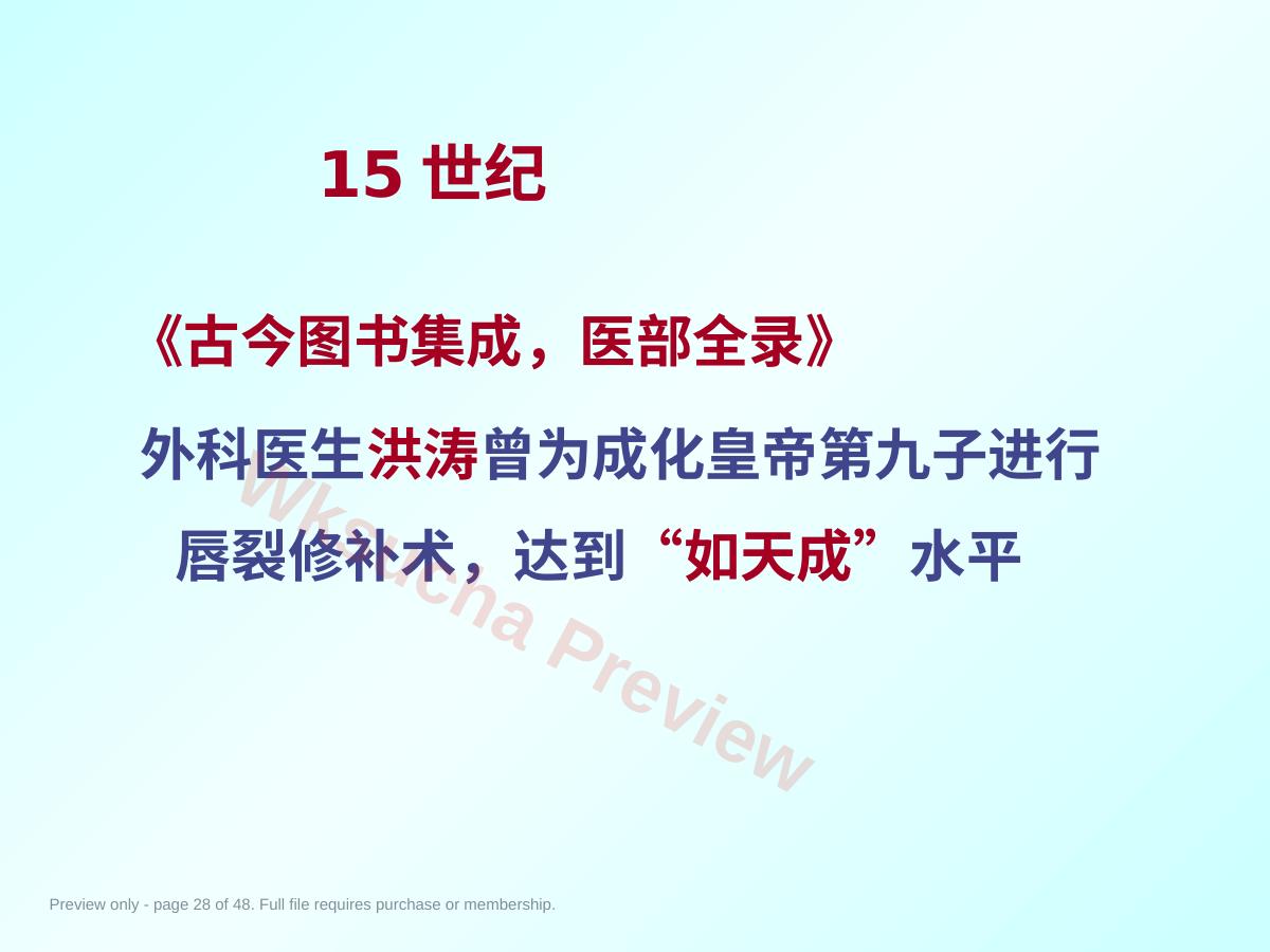预览第 28 页