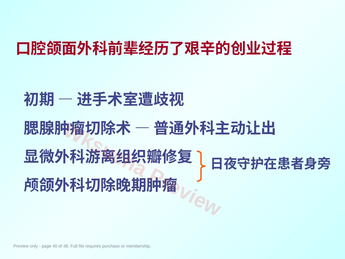 预览第 40 页