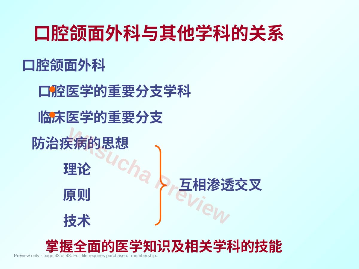 预览第 43 页