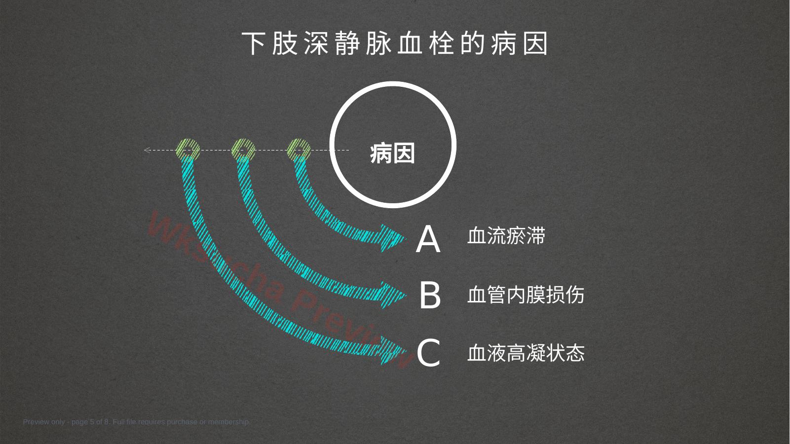 预览第 5 页