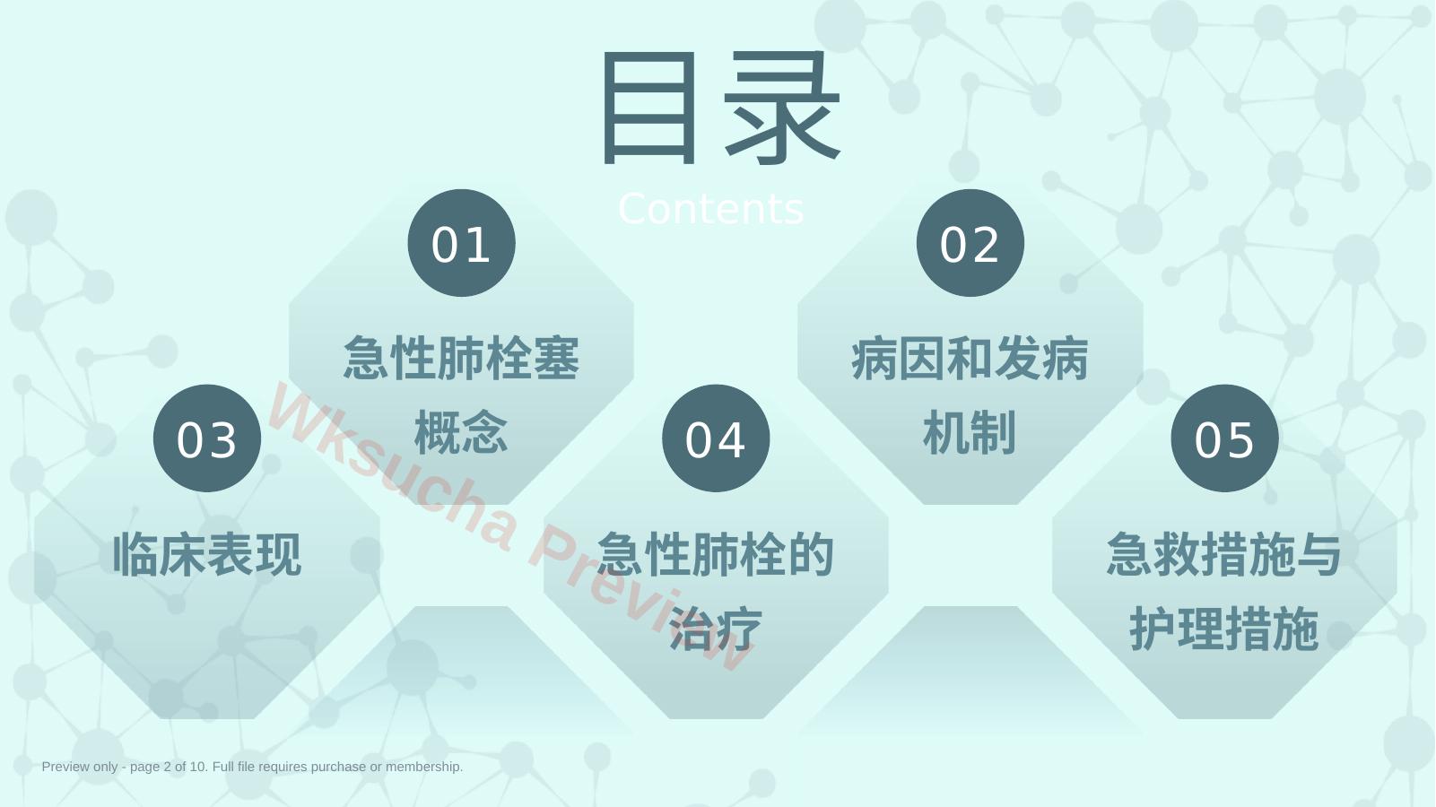 预览第 2 页