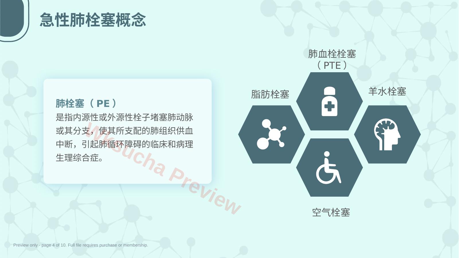预览第 4 页