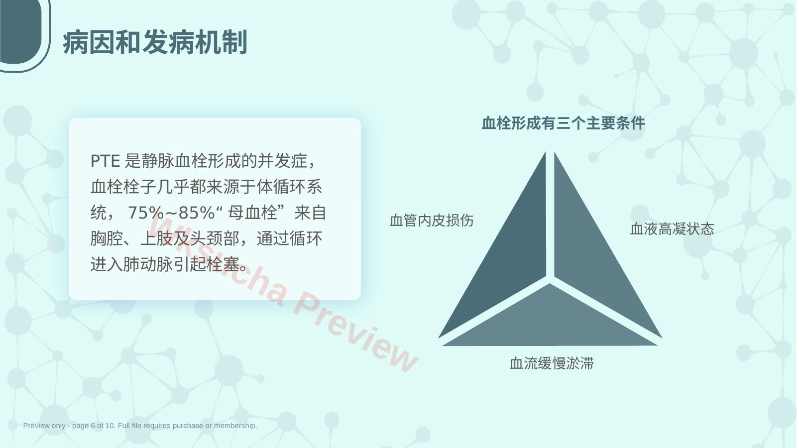 预览第 6 页