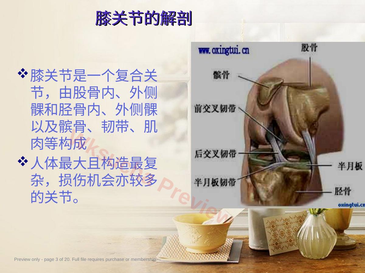 预览第 3 页