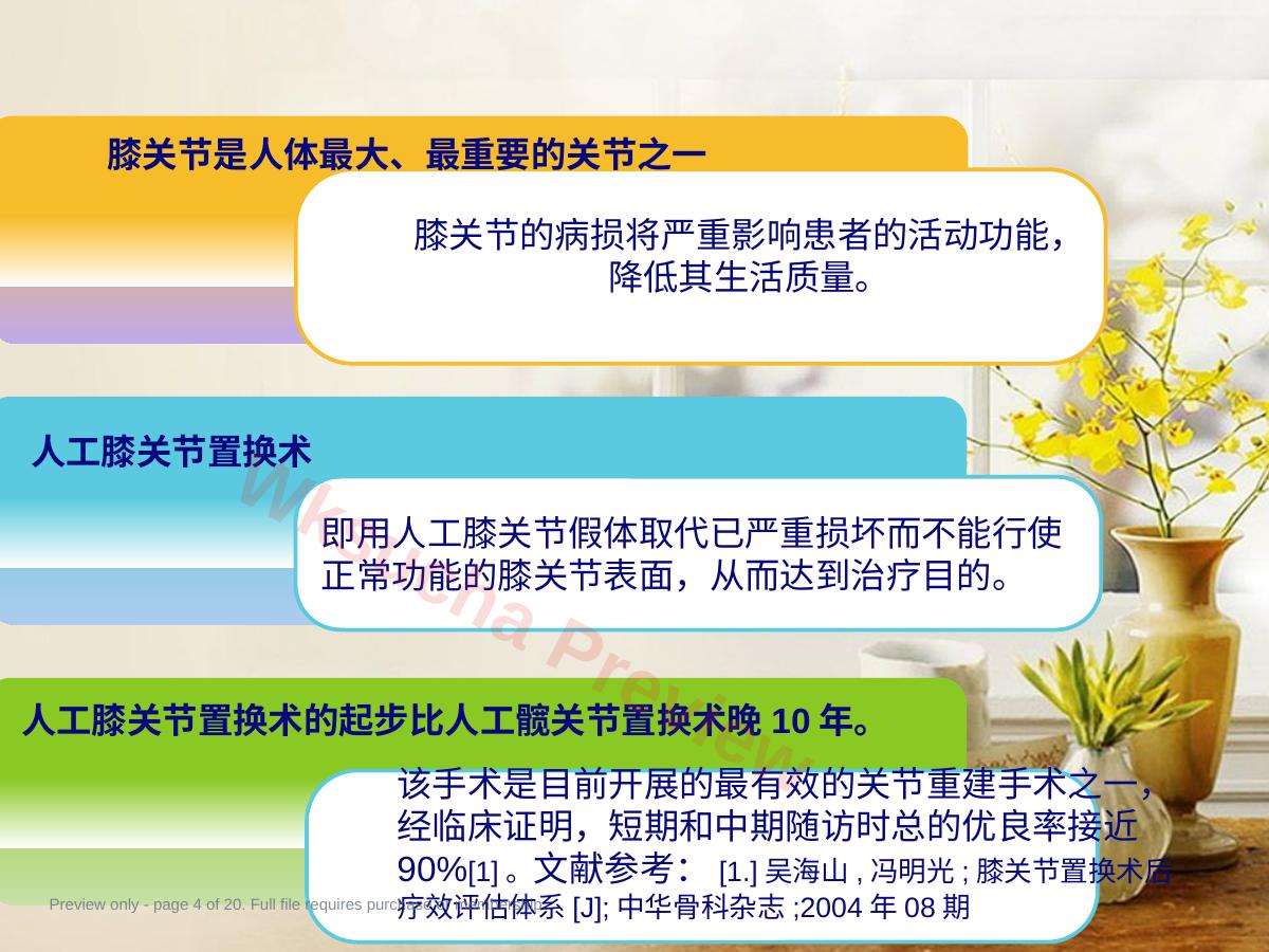 预览第 4 页