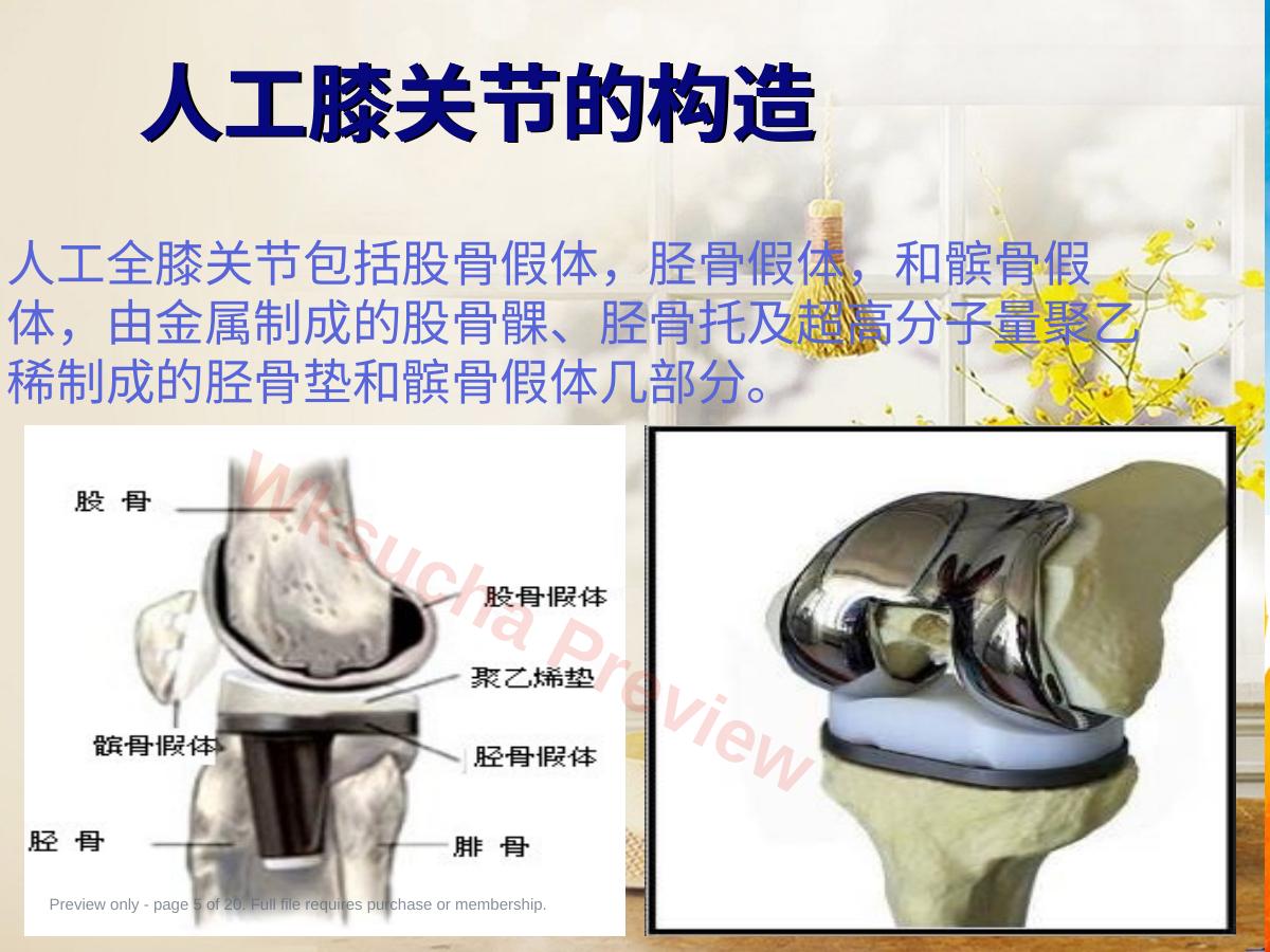 预览第 5 页