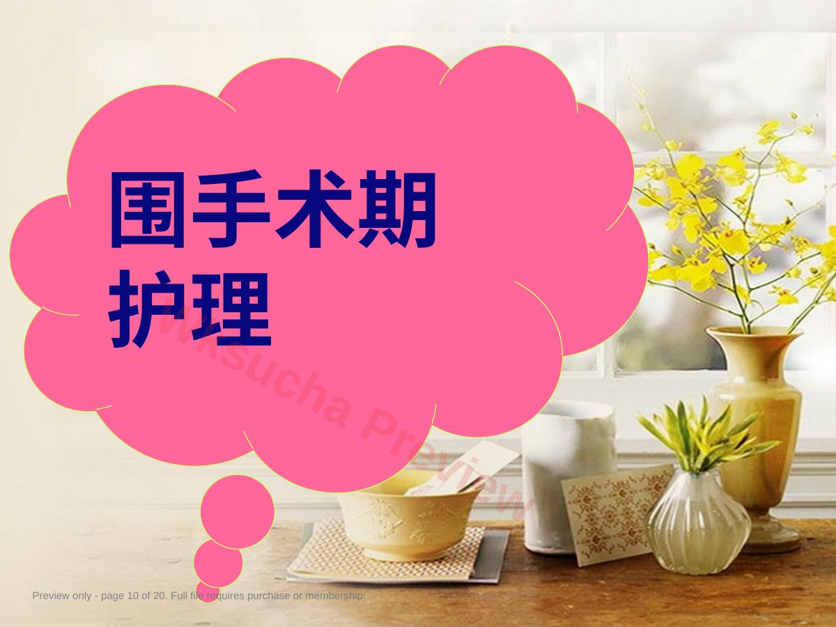 预览第 10 页