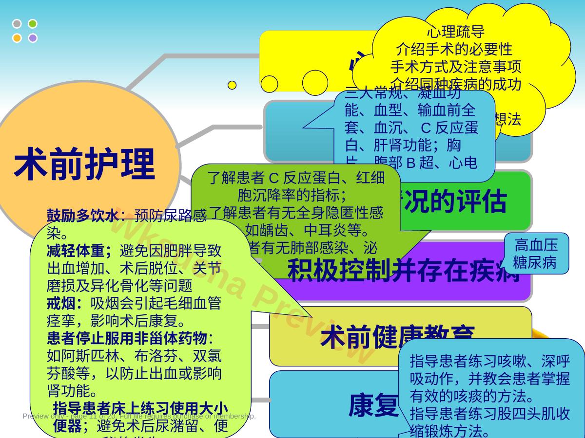 预览第 11 页