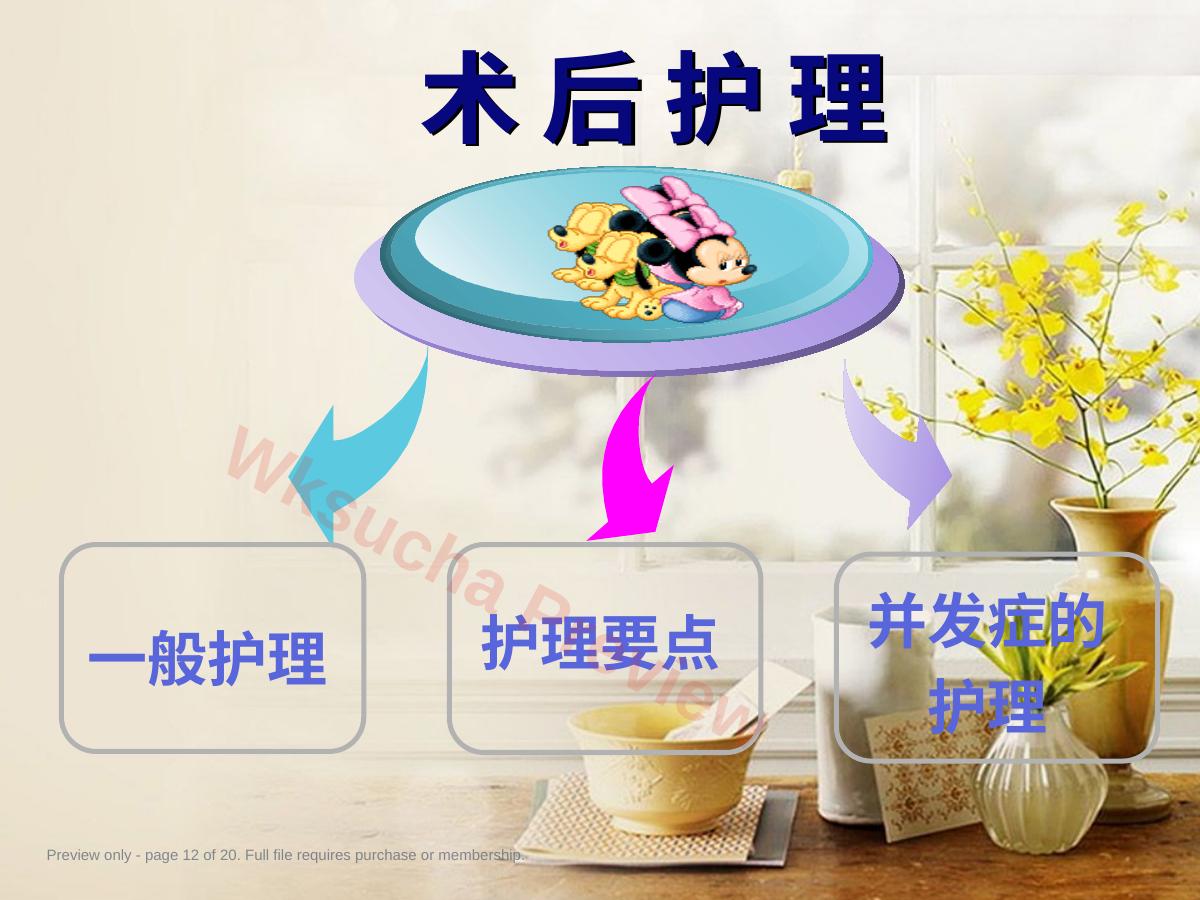 预览第 12 页