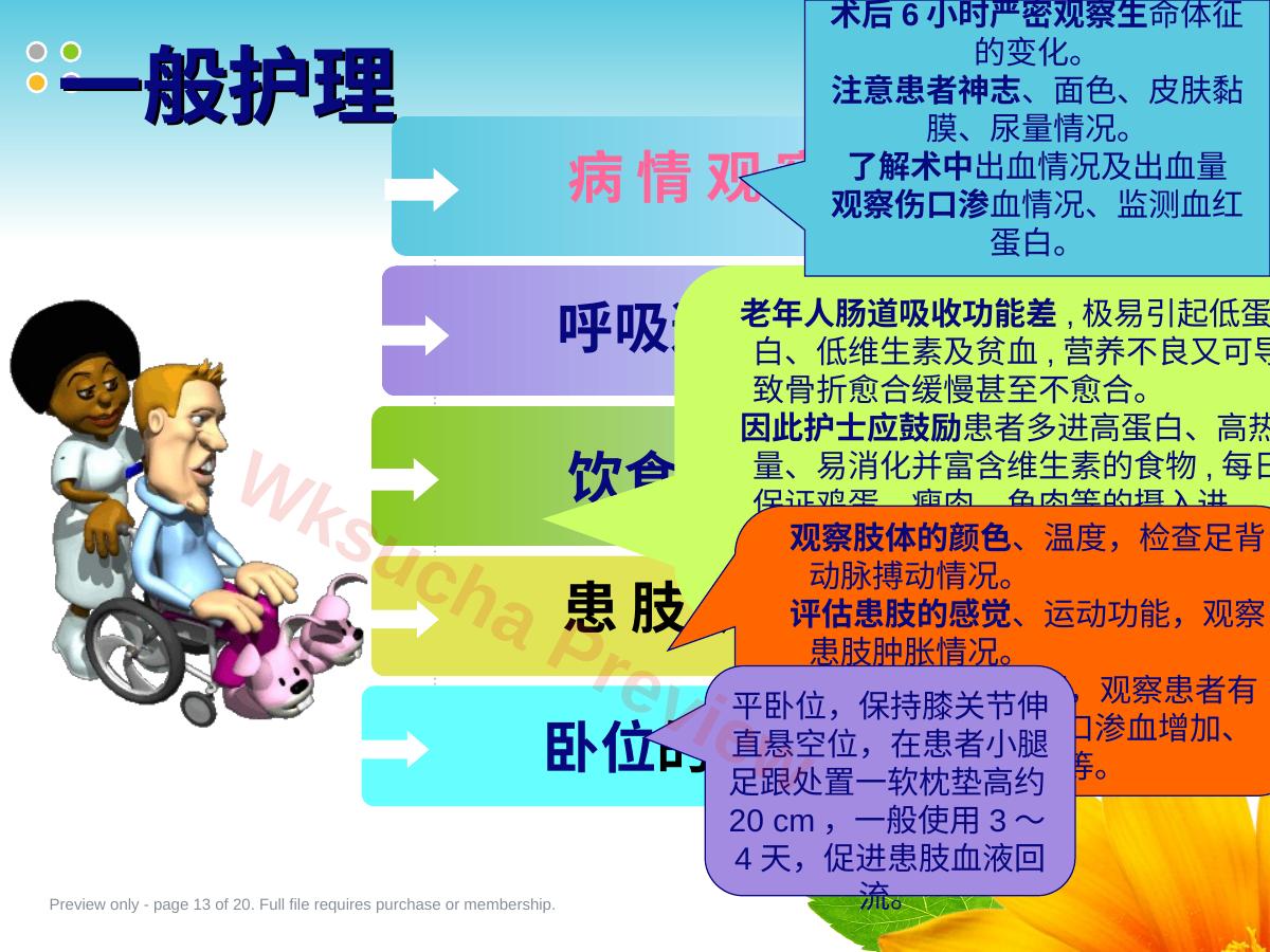 预览第 13 页