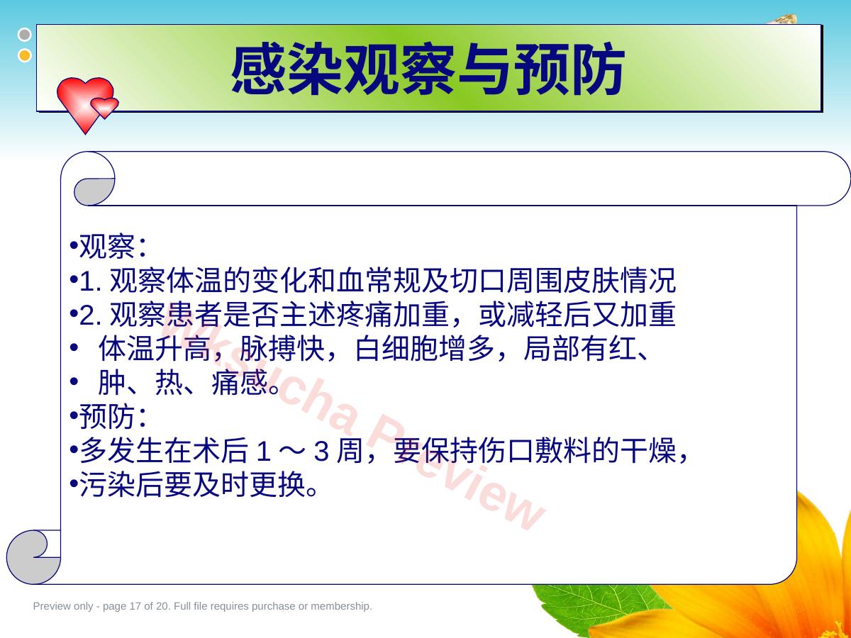 预览第 17 页