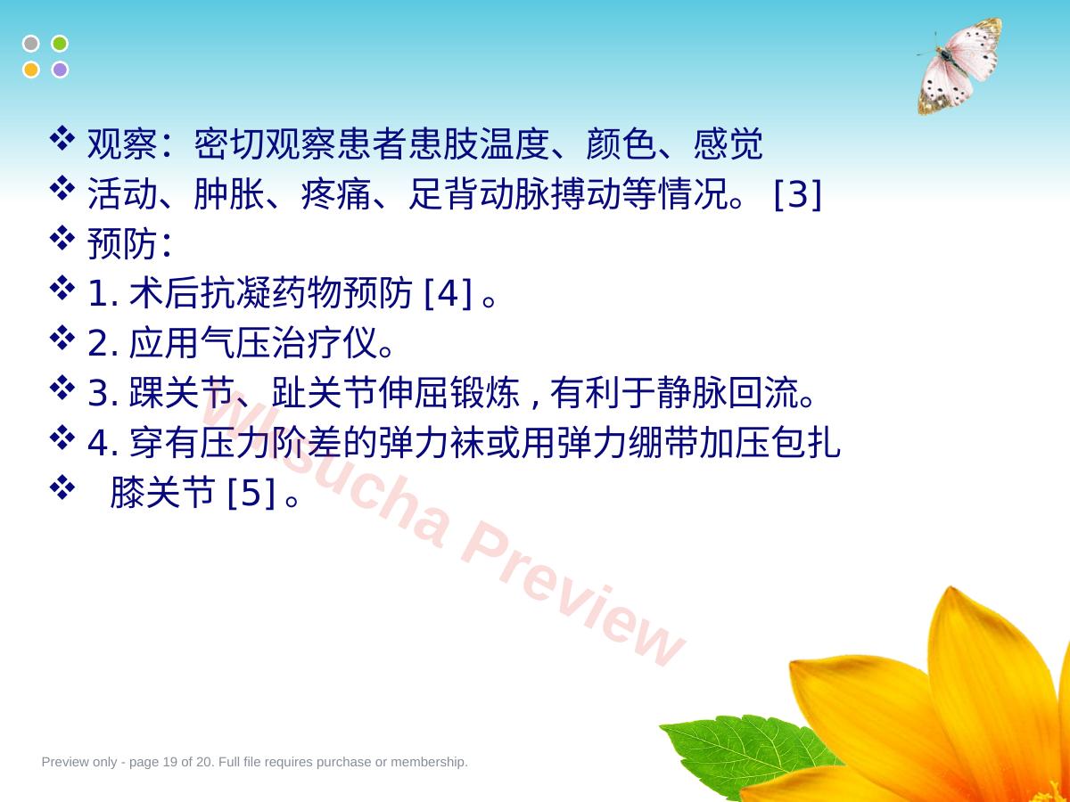 预览第 19 页