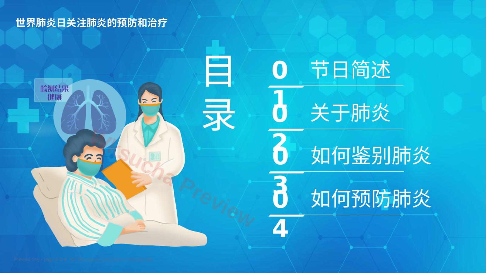 预览第 3 页