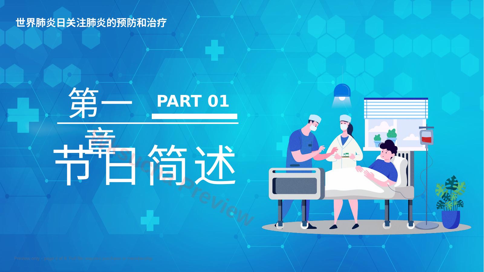预览第 4 页