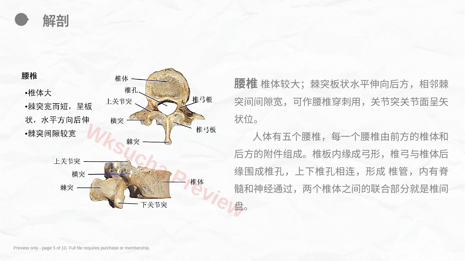 预览第 5 页