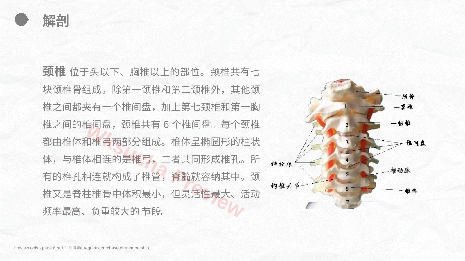 预览第 6 页