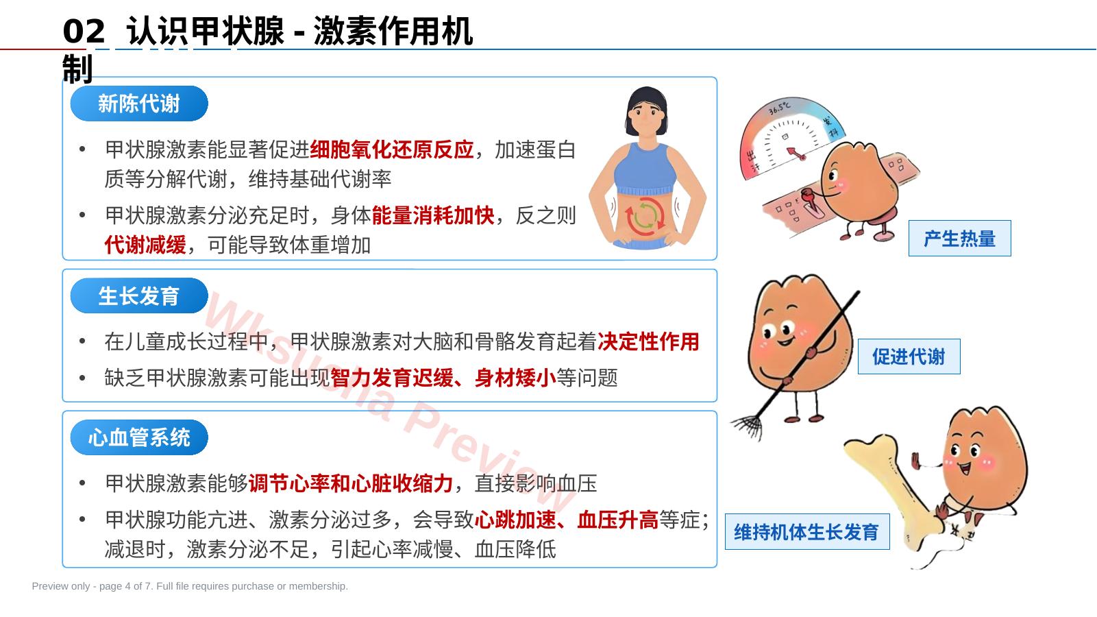 预览第 4 页