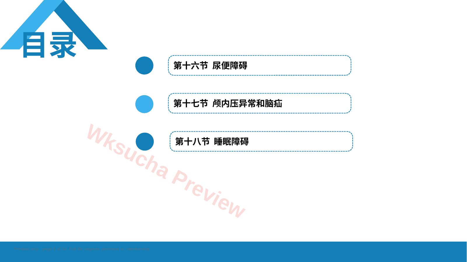 预览第 5 页