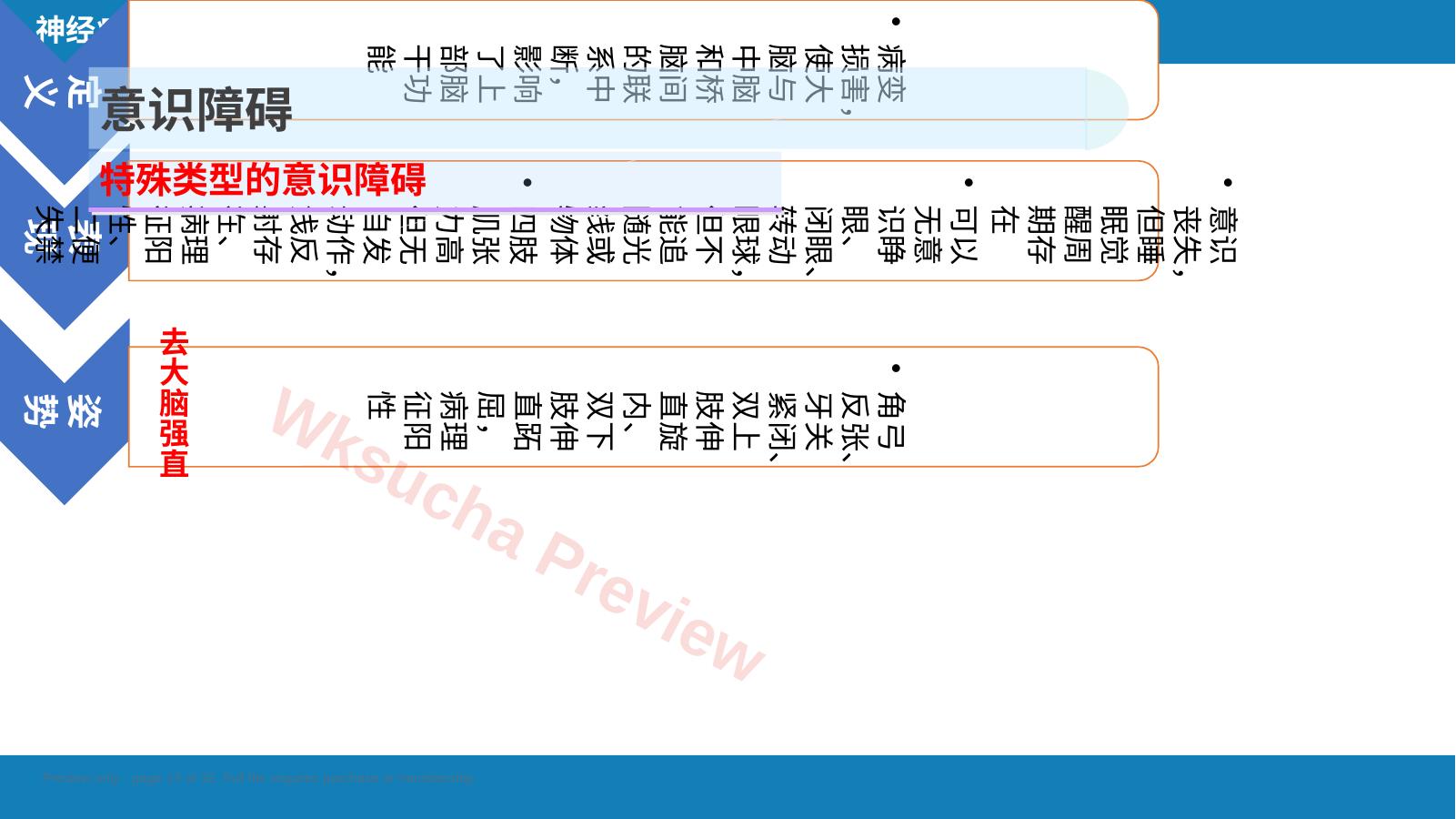 预览第 13 页