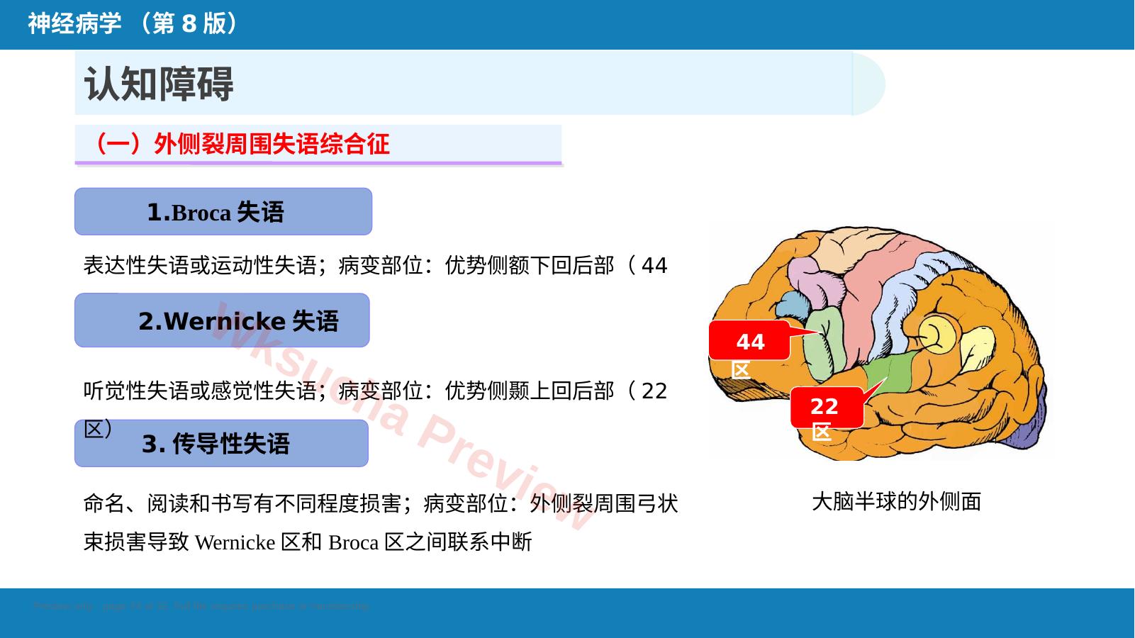 预览第 24 页