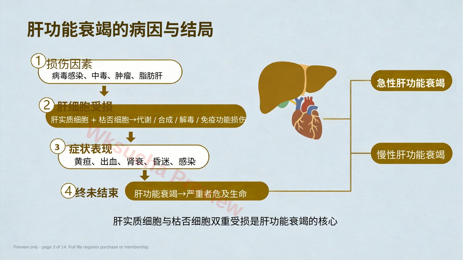 预览第 3 页