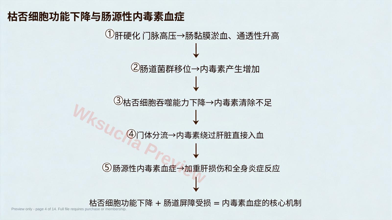预览第 4 页