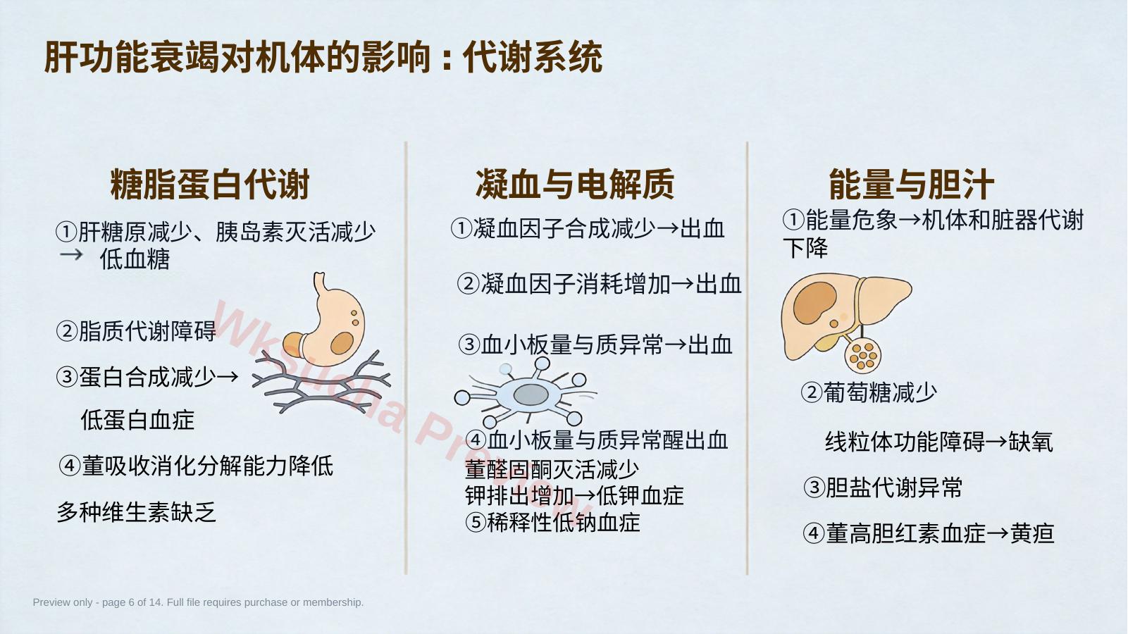 预览第 6 页