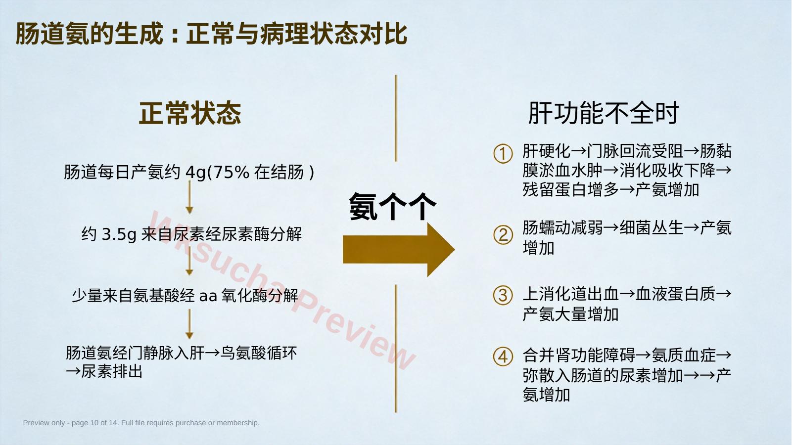预览第 10 页