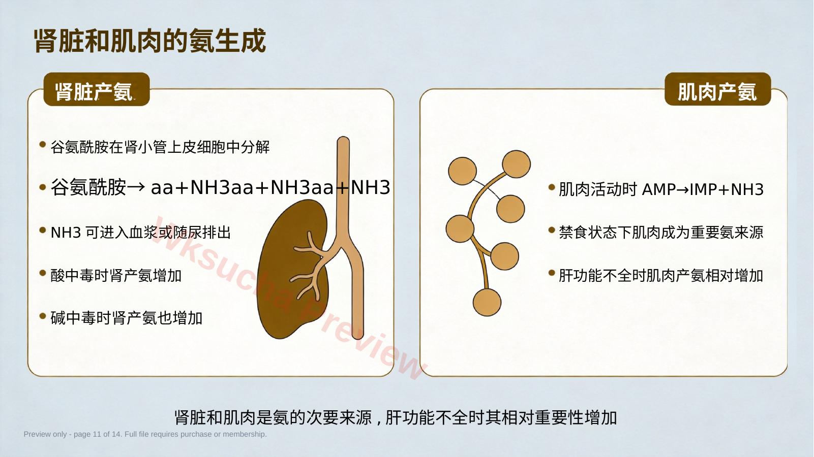 预览第 11 页