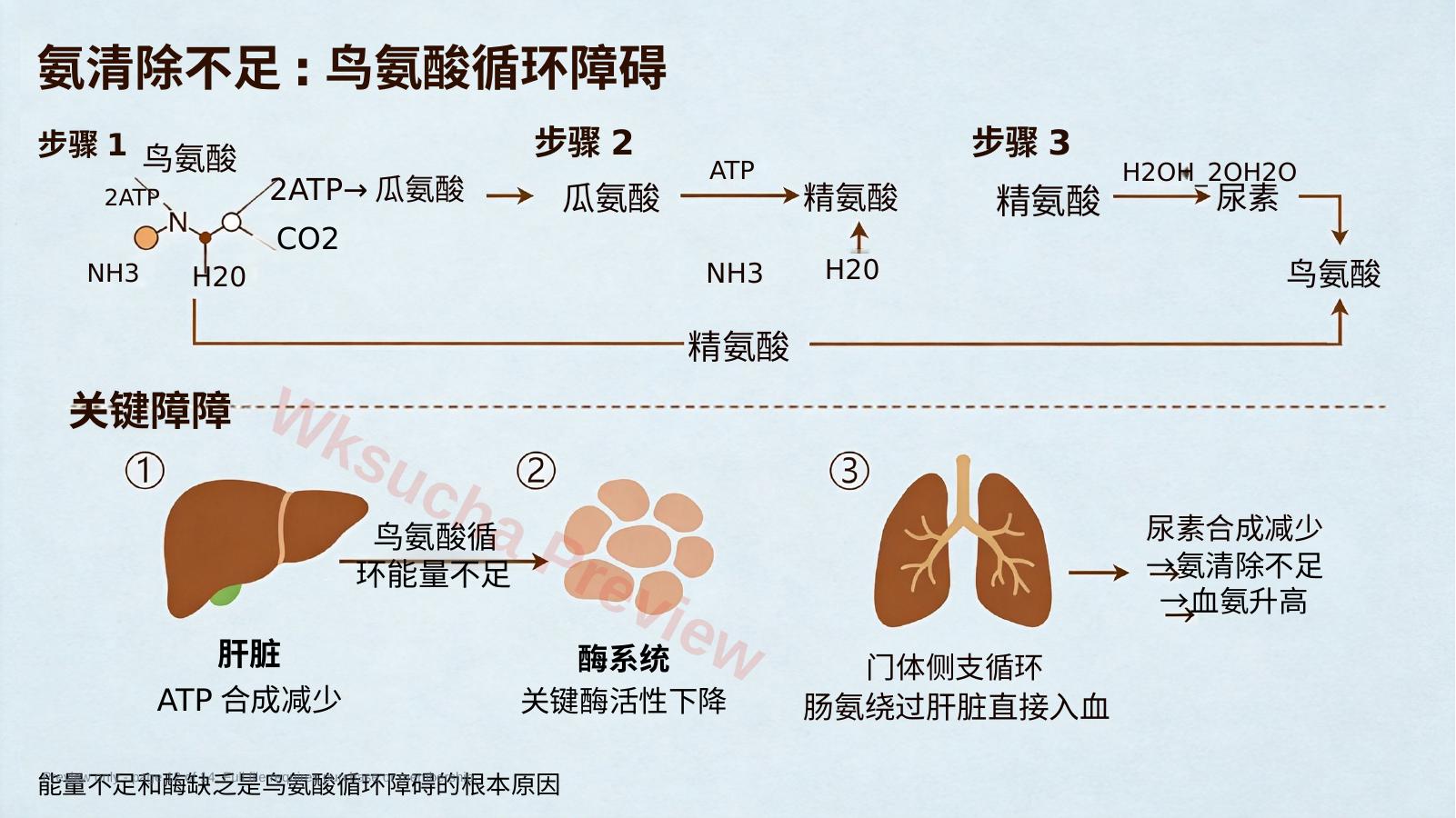 预览第 12 页