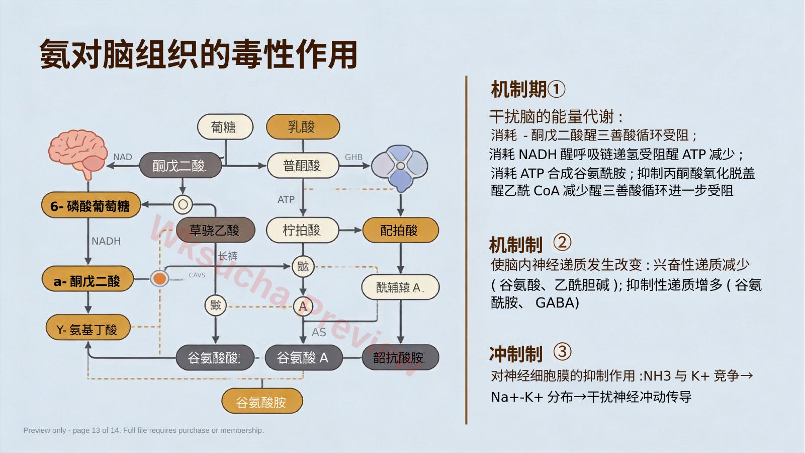 预览第 13 页