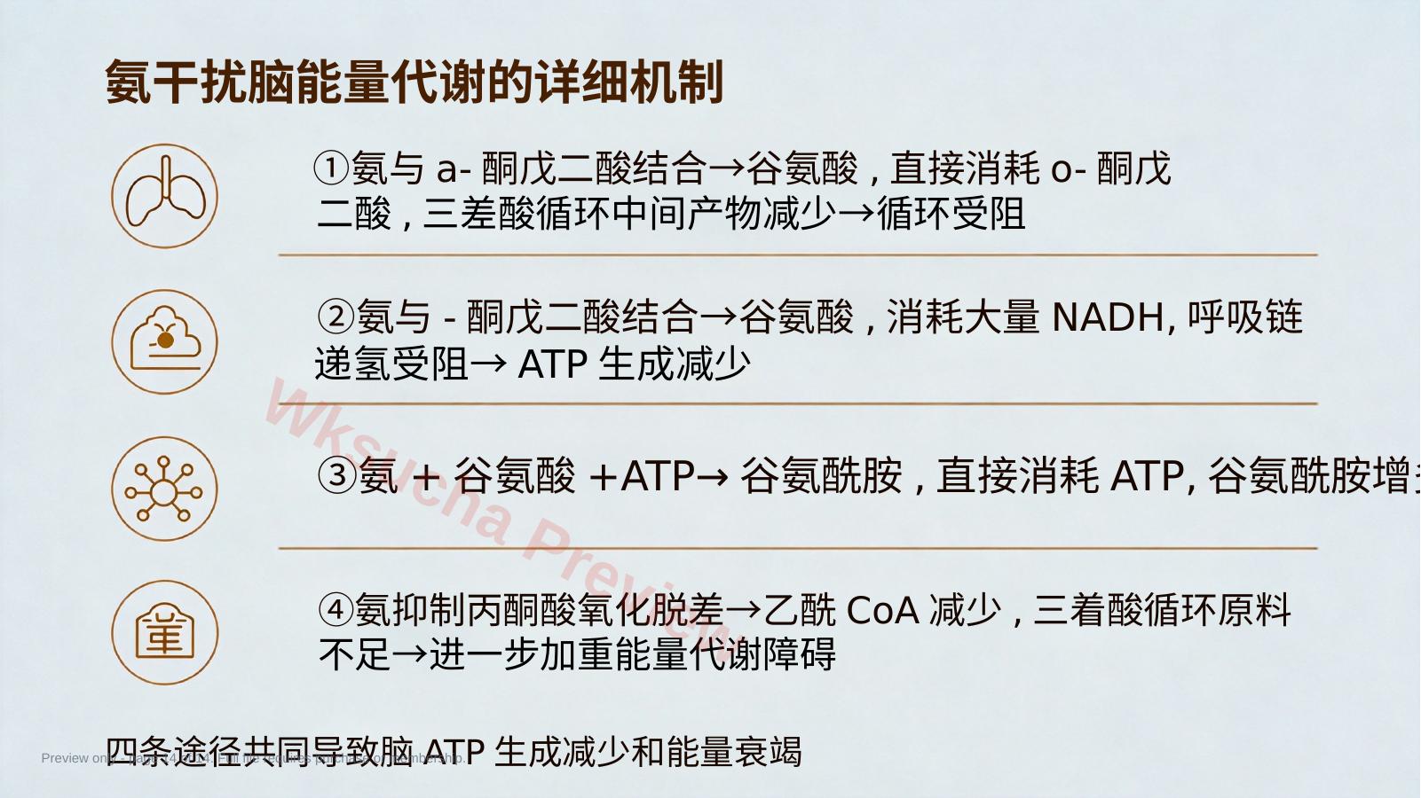 预览第 14 页