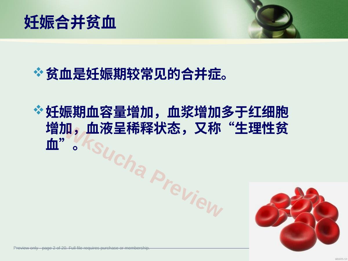 预览第 2 页