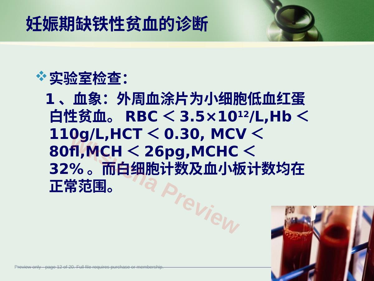 预览第 12 页