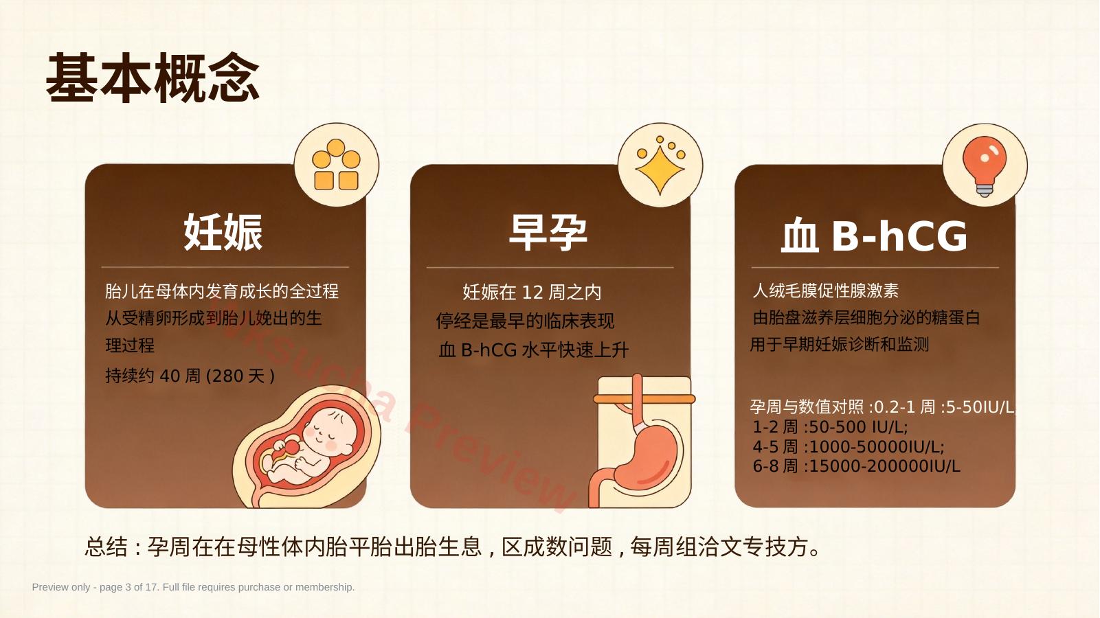 预览第 3 页
