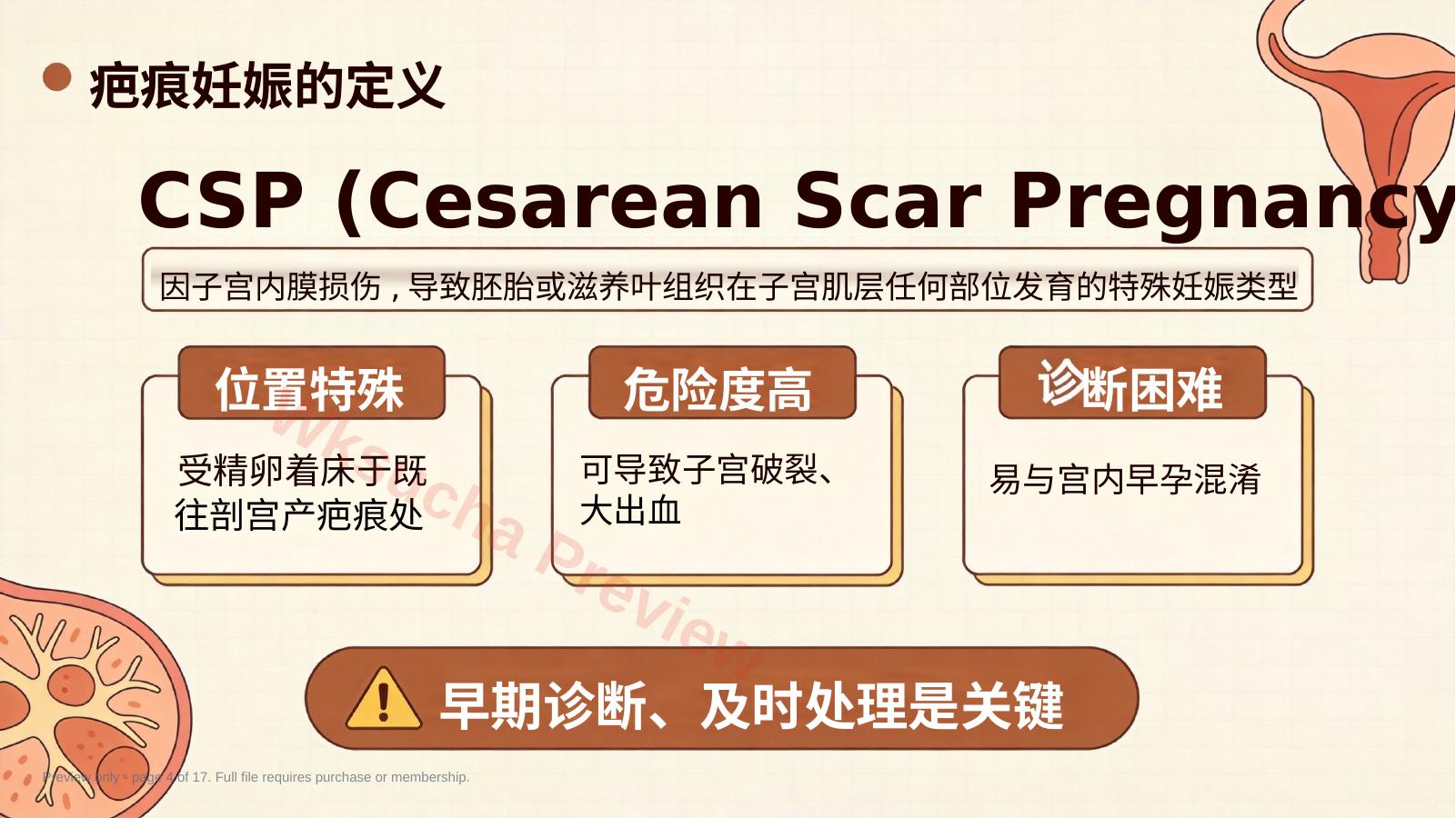 预览第 4 页