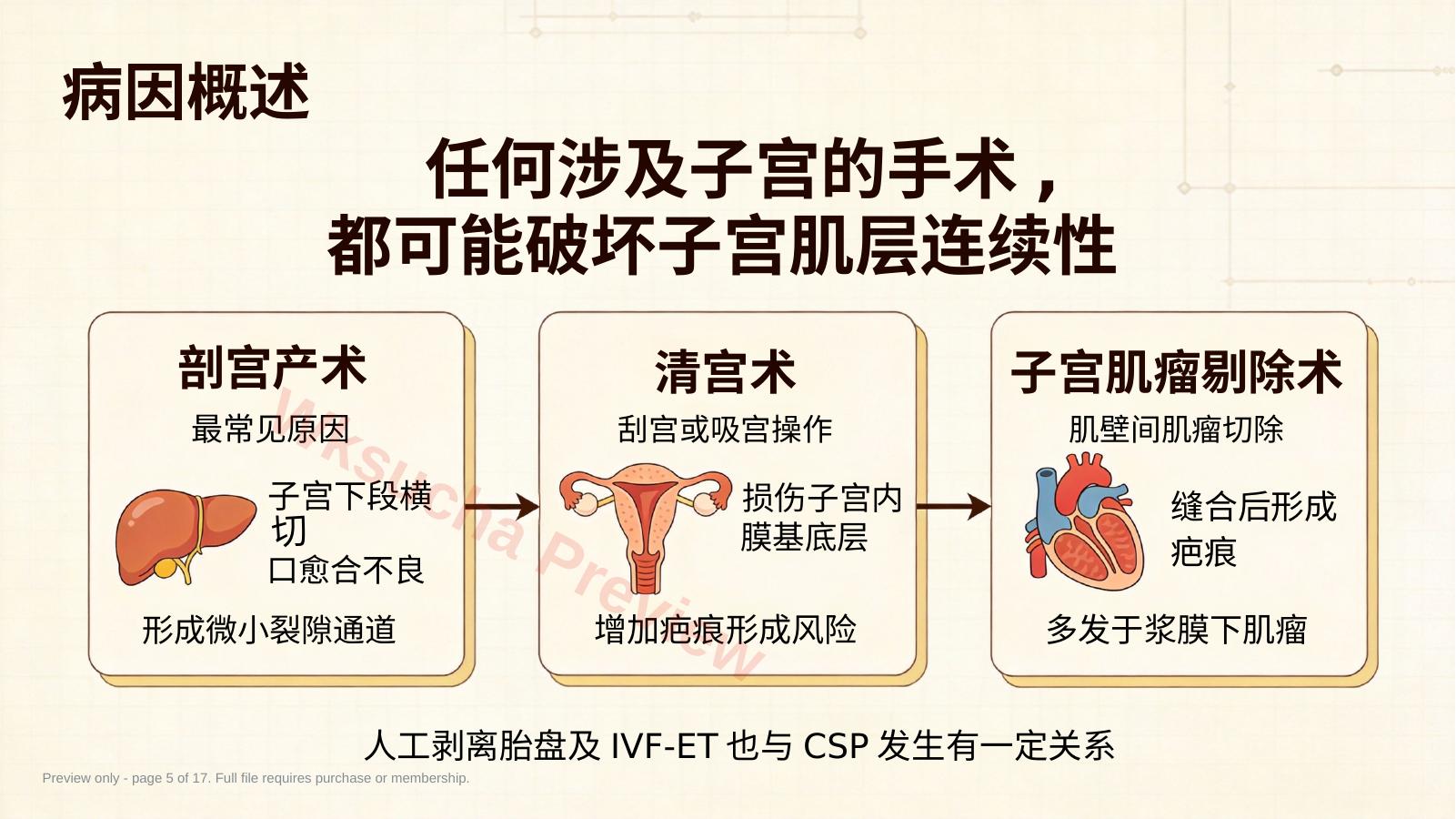 预览第 5 页