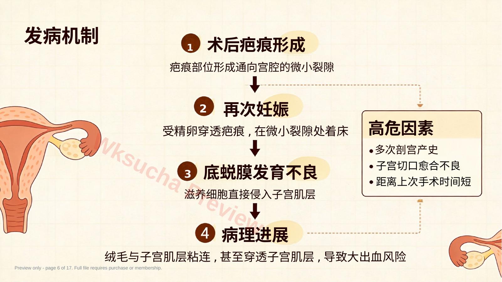 预览第 6 页
