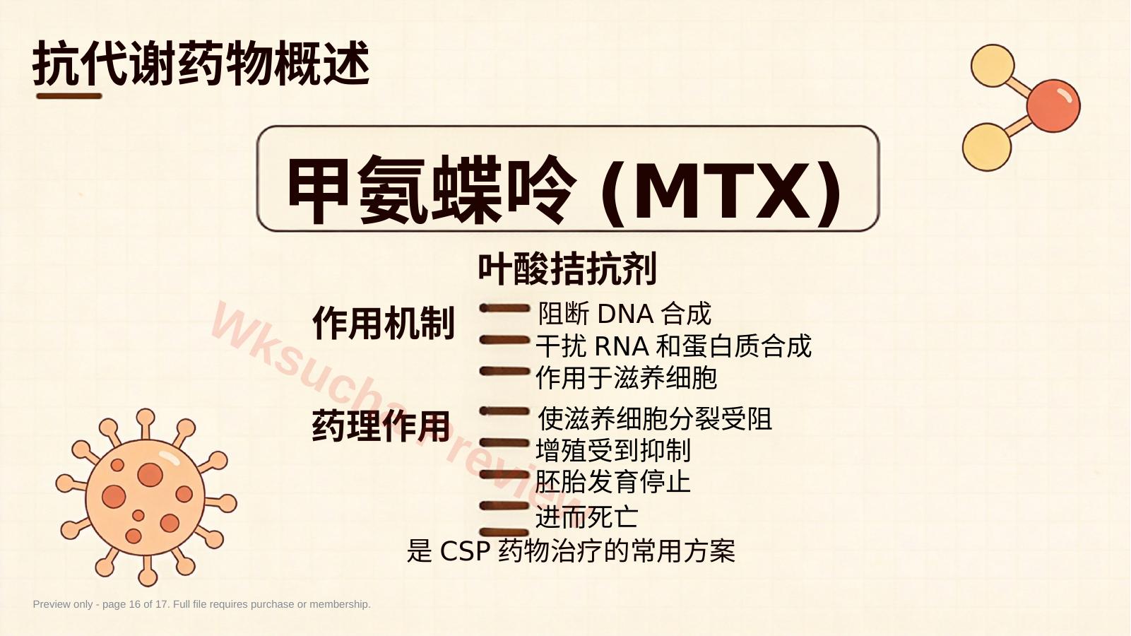 预览第 16 页