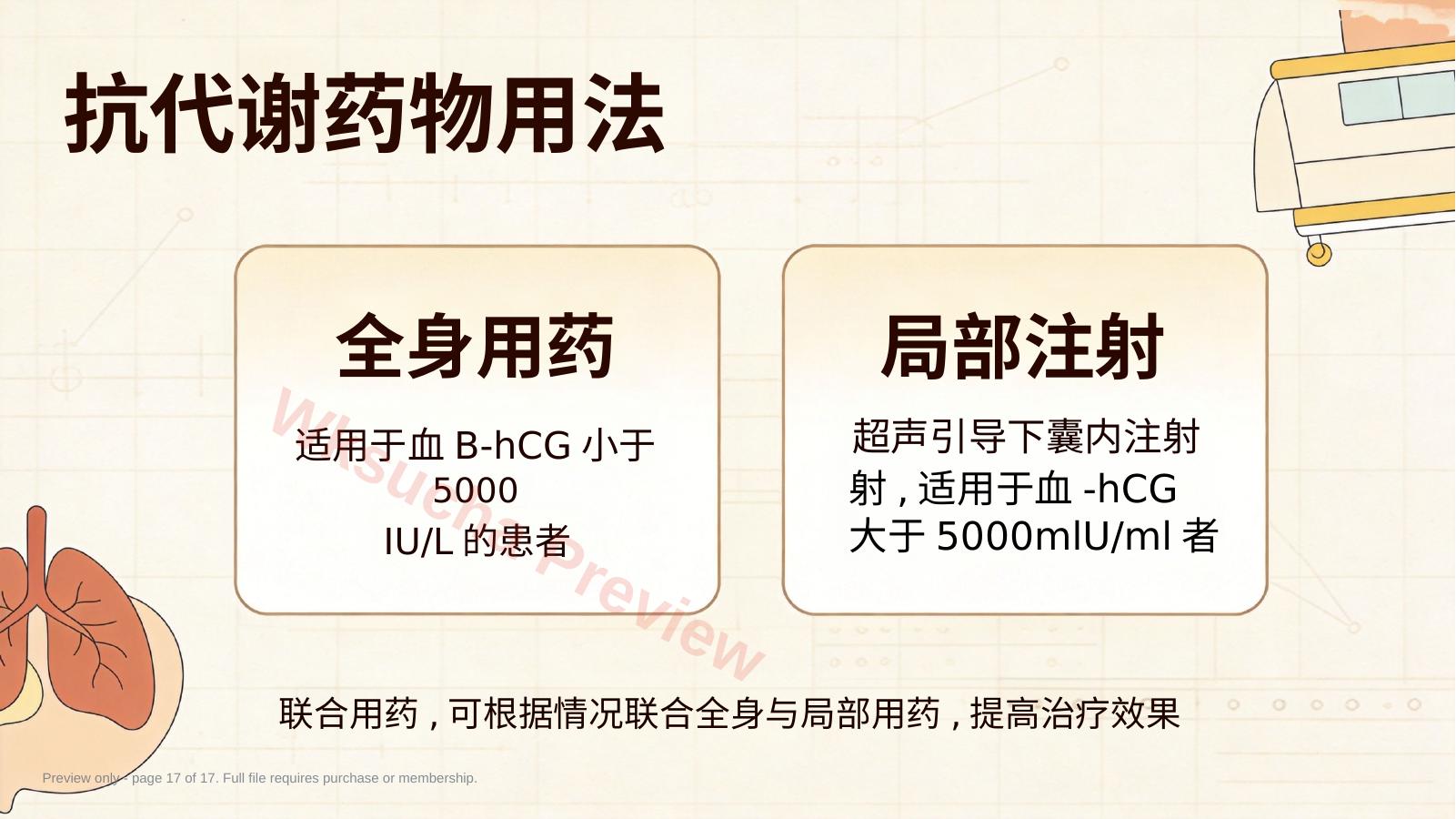 预览第 17 页