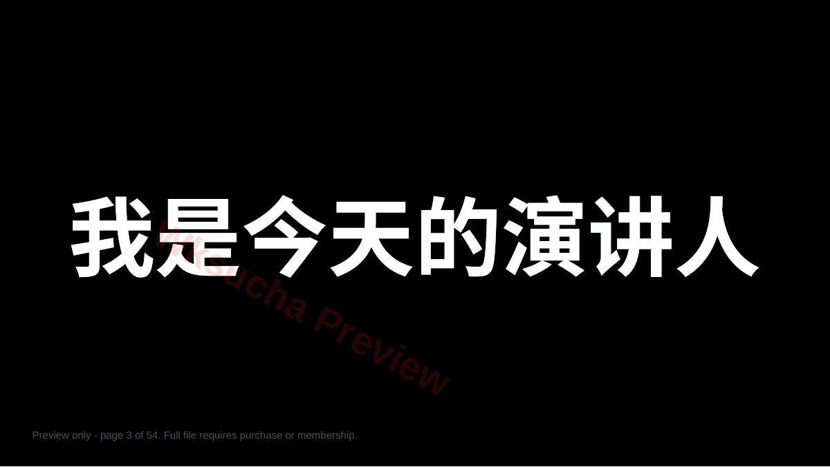 预览第 3 页